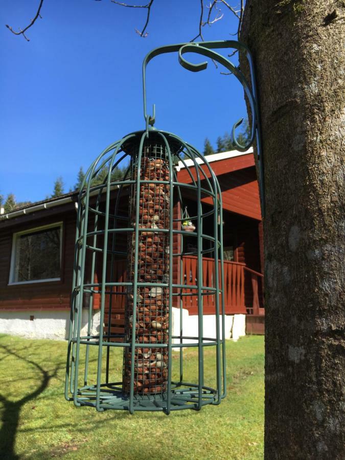 Stravaigin Lodge Dunoon Exterior foto